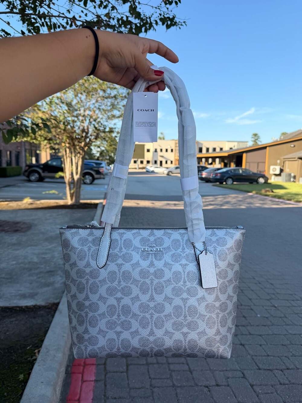 Coach Signature Zip Tote Bag Silver Metallic Leather New With Tags